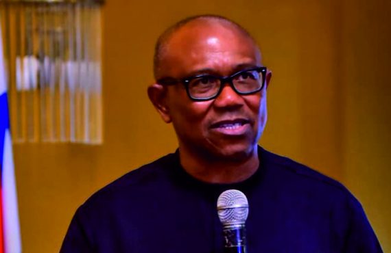 10 Steps I must take to make Peter Obi the Next President Of Nigeria