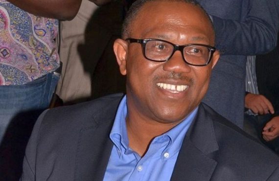 Peter Obi's Past Achievements and Contributions