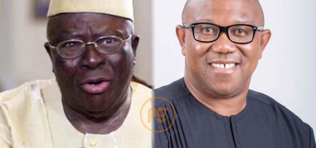 Afenifere Endorses Peter Obi As Their Choice In The 2023 Presidential Election