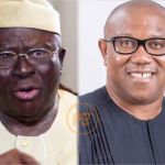 Afenifere Endorses Peter Obi As Their Choice In The 2023 Presidential Election