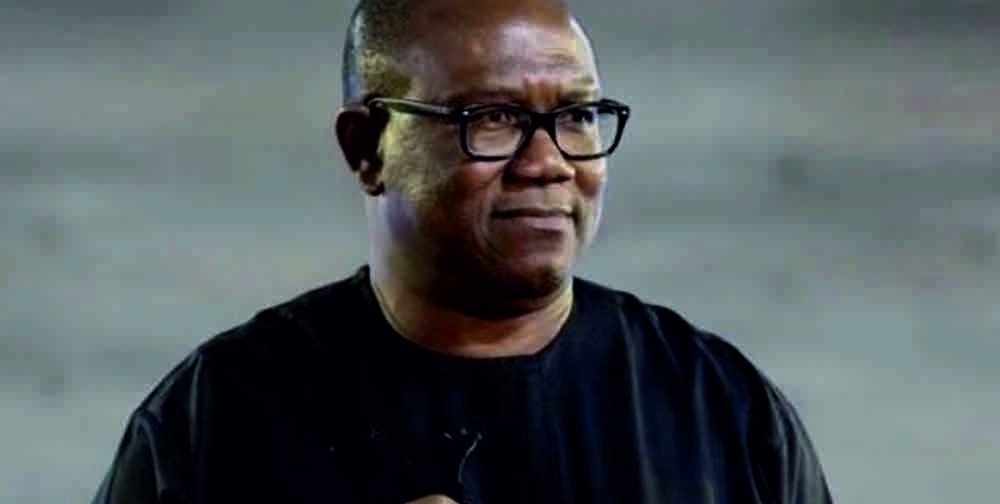 ADF, Afenifere, others praise Peter Obi at Book Launch