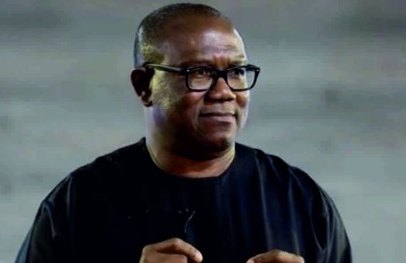 ADF, Afenifere, others praise Peter Obi at Book Launch